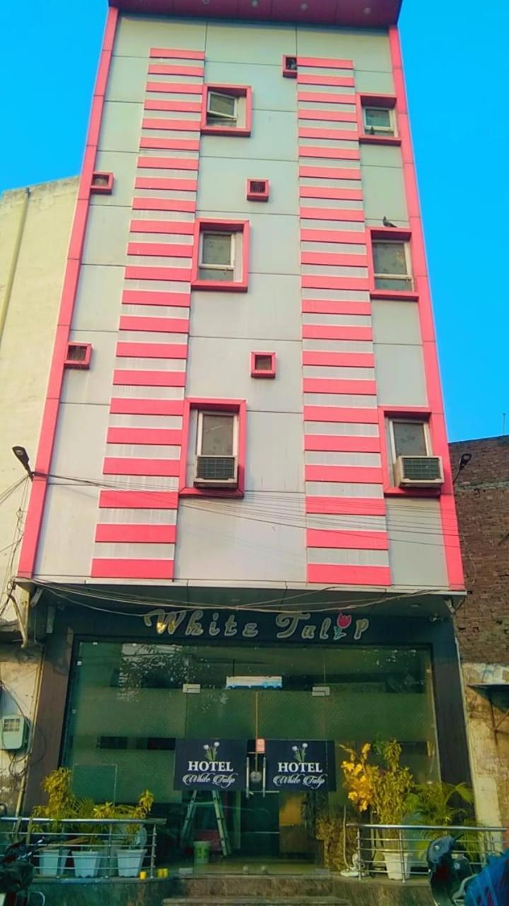 Hotel White Tulip Amritsar Exterior foto